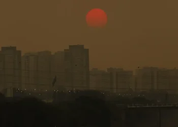 Relatório traz soluções para reduzir emissões de metano