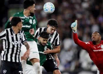 Botafogo segura Palmeiras e ajuda Flamengo, novo líder do Brasileirão