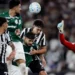 Botafogo segura Palmeiras e ajuda Flamengo, novo líder do Brasileirão