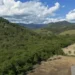 Agricultura avança 11 milhões de hectares em 41 anos na Mata Atlântica