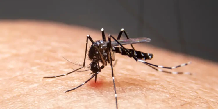 Mudanças climáticas já causam aumento de doenças infecciosas no país