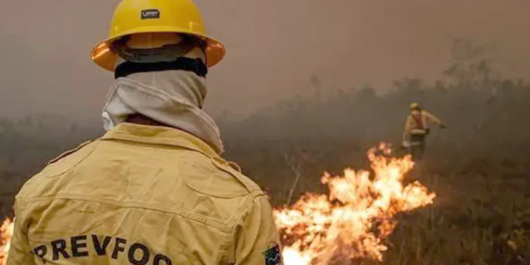 Focos de incêndio no Amazonas diminuem após ação de força-tarefa