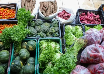 Segurança alimentar exige esforço coletivo e articulação
