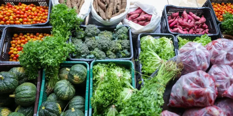Segurança alimentar exige esforço coletivo e articulação