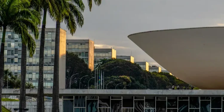Nikolas Ferreira e Lucas Pavanato foram os deputados mais votados