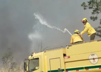 Bombeiros controlam incêndio em área de mata na UnB